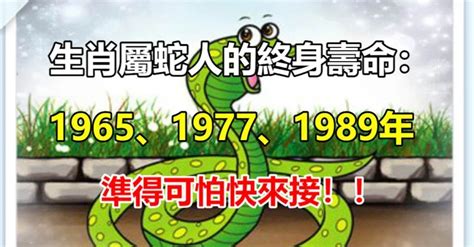 1977屬什麼|關於1977年「生肖屬蛇人」，這一生命運如何？